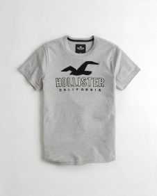 הוליסטר Hollister חולצות קצרות טי שירט לגבר רפליקה איכות AAA מחיר כולל משלוח דגם 24