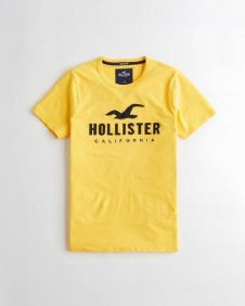 הוליסטר Hollister חולצות קצרות טי שירט לגבר רפליקה איכות AAA מחיר כולל משלוח דגם 27