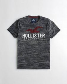 הוליסטר Hollister חולצות קצרות טי שירט לגבר רפליקה איכות AAA מחיר כולל משלוח דגם 29