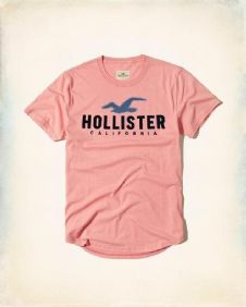 הוליסטר Hollister חולצות קצרות טי שירט לגבר רפליקה איכות AAA מחיר כולל משלוח דגם 36