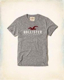 הוליסטר Hollister חולצות קצרות טי שירט לגבר רפליקה איכות AAA מחיר כולל משלוח דגם 38