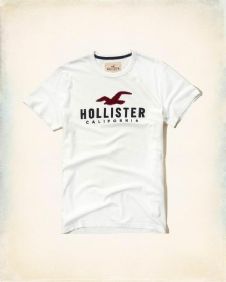 הוליסטר Hollister חולצות קצרות טי שירט לגבר רפליקה איכות AAA מחיר כולל משלוח דגם 39