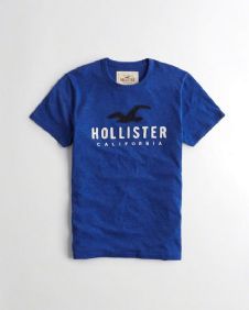 הוליסטר Hollister חולצות קצרות טי שירט לגבר רפליקה איכות AAA מחיר כולל משלוח דגם 54