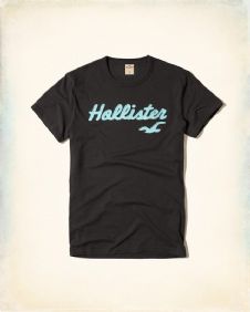 הוליסטר Hollister חולצות קצרות טי שירט לגבר רפליקה איכות AAA מחיר כולל משלוח דגם 135