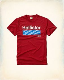 הוליסטר Hollister חולצות קצרות טי שירט לגבר רפליקה איכות AAA מחיר כולל משלוח דגם 145