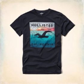 הוליסטר Hollister חולצות קצרות טי שירט לגבר רפליקה איכות AAA מחיר כולל משלוח דגם 147