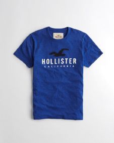 הוליסטר Hollister חולצות קצרות טי שירט לגבר רפליקה איכות AAA מחיר כולל משלוח דגם 149