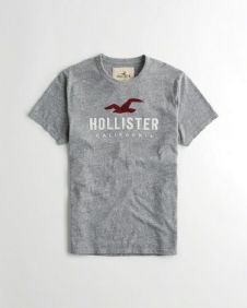הוליסטר Hollister חולצות קצרות טי שירט לגבר רפליקה איכות AAA מחיר כולל משלוח דגם 150