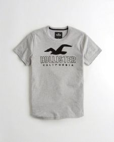 הוליסטר Hollister חולצות קצרות טי שירט לגבר רפליקה איכות AAA מחיר כולל משלוח דגם 151