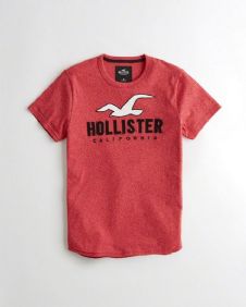 הוליסטר Hollister חולצות קצרות טי שירט לגבר רפליקה איכות AAA מחיר כולל משלוח דגם 152