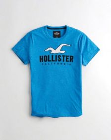 הוליסטר Hollister חולצות קצרות טי שירט לגבר רפליקה איכות AAA מחיר כולל משלוח דגם 153