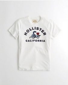 הוליסטר Hollister חולצות קצרות טי שירט לגבר רפליקה איכות AAA מחיר כולל משלוח דגם 155