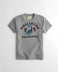 הוליסטר Hollister חולצות קצרות טי שירט לגבר רפליקה איכות AAA מחיר כולל משלוח דגם 156
