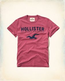 הוליסטר Hollister חולצות קצרות טי שירט לגבר רפליקה איכות AAA מחיר כולל משלוח דגם 157