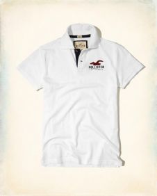 הוליסטר Hollister חולצות פולו קצרות לגבר רפליקה איכות AAA מחיר כולל משלוח דגם 18