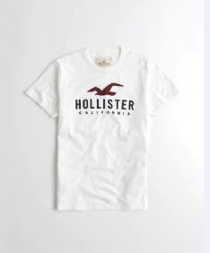 הוליסטר Hollister חולצות קצרות טי שירט לנשים רפליקה איכות AAA מחיר כולל משלוח דגם 42