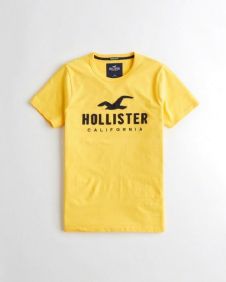 הוליסטר Hollister חולצות קצרות טי שירט לנשים רפליקה איכות AAA מחיר כולל משלוח דגם 46