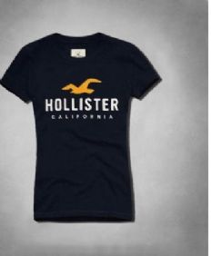 הוליסטר Hollister חולצות קצרות טי שירט לנשים רפליקה איכות AAA מחיר כולל משלוח דגם 59